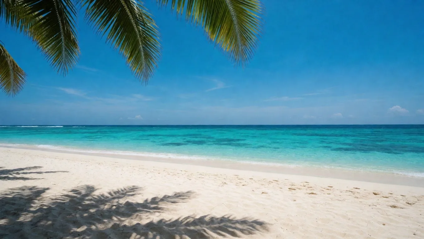 Tropical Bali beach with strong midday sunlight and palm shadows